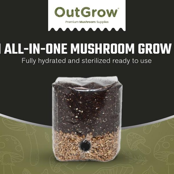 Mini All-In-One Manure-Based Mushroom Grow Bag