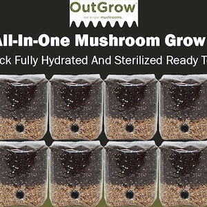 May include: Eight clear plastic bags filled with a brown mushroom growing medium. The bags are labeled "OutGrow" and "Mini All-In-One Mushroom Grow Bags 8-Pack Fully Hydrated And Sterilized Ready To Use".
