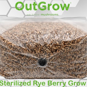 May include: A clear plastic bag filled with 5 pounds of sterilized rye berry grow bag for mushroom cultivation. The bag has a black button on the front. The bag is labeled "OutGrow" and "we know mushrooms."