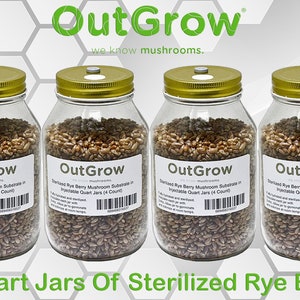 Sterilized Rye Berry Mushroom Substrate in Injectable Jars (4 pack)