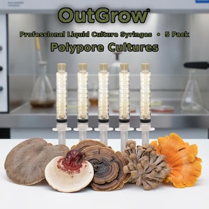 May include: Five clear plastic syringes filled with liquid culture, labeled with OutGrow Professional Liquid Culture Syringes 5 Pack Polypore Cultures. Arranged in front are various polypore mushrooms, including brown, red-white, and orange specimens.