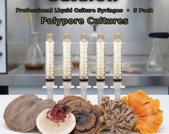 Polypore Liquid Culture Syringes 5 Pack | Turkey Tail Reishi Maitake Artist Conk