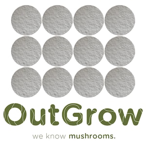 Regular Mouth Cellulose Filter Discs for Mushroom Cultivation (70 mm) 12 Pack!