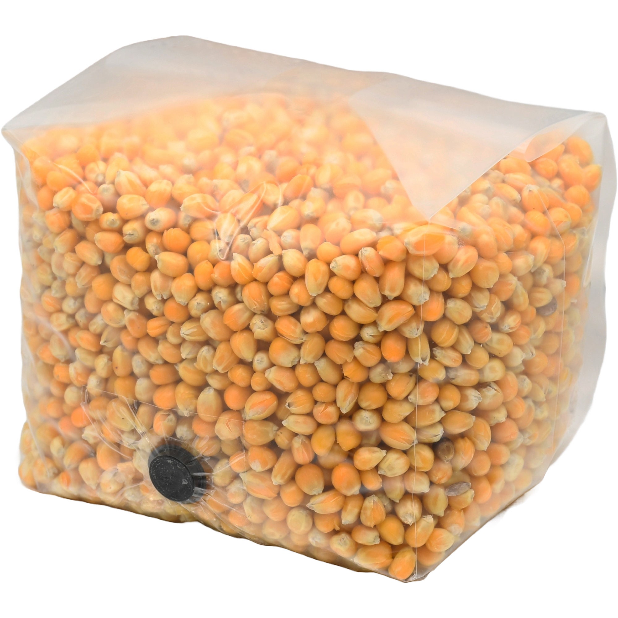 Sterilized Popcorn Grain Spawn Bag (3lb) - Etsy
