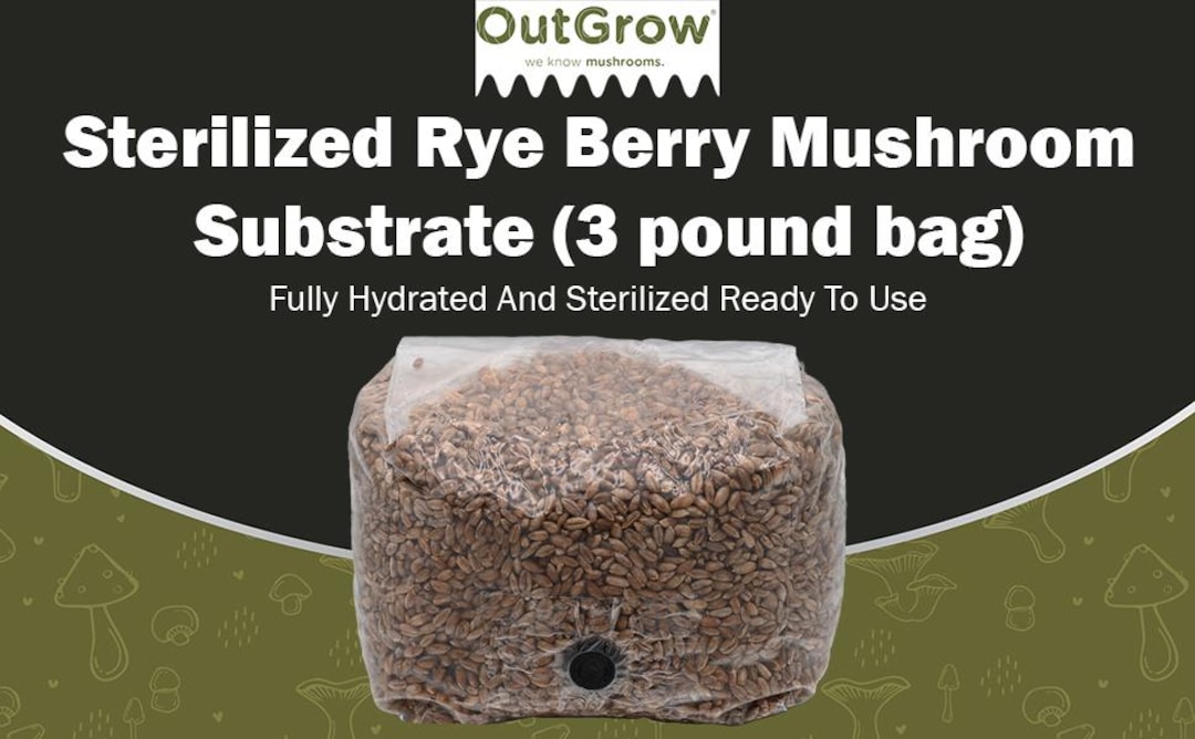 Sterilized Rye Berry Grow Bag (15lbs