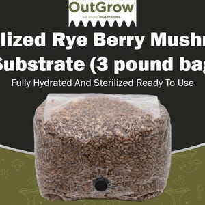 3lb Sterilized Rye Berry Mushroom Spawn Bag | Premium Grain Spawn | Out-Grow