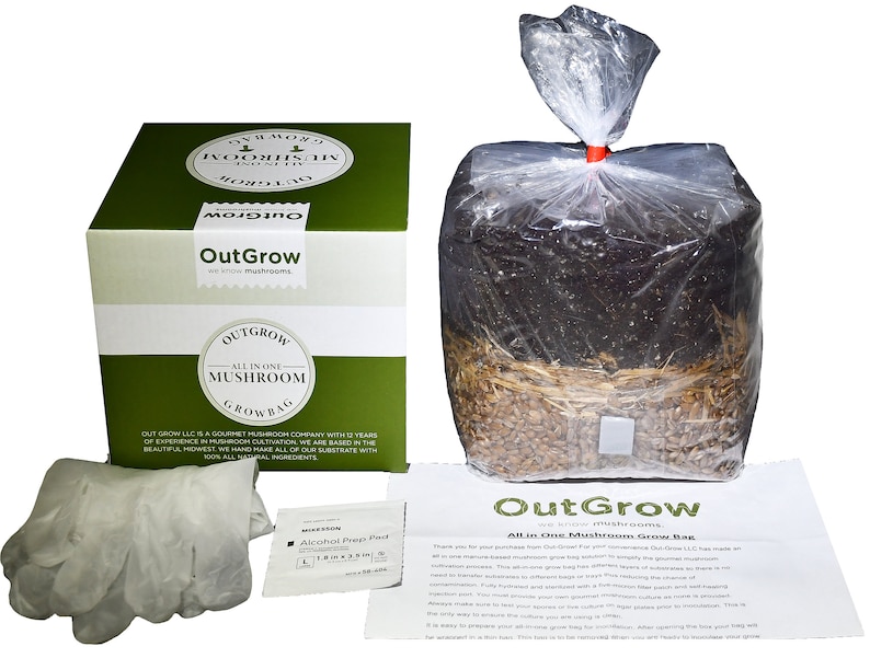 All In One Mushroom Grow Bag image 1