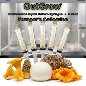 May include: Five clear plastic syringes with measurement markings, labeled OutGrow Professional Liquid Culture Syringes 5 Pack Forager's Collection, arranged behind a cluster of yellow chanterelle mushrooms, a brown morel, and a smooth white sphere.