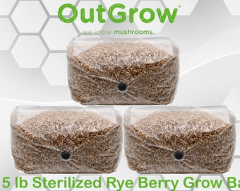Sterilized Rye Berry Grow Bag (15lbs)