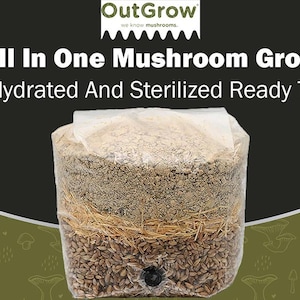 Brown Rice Flour Based All in One Mushroom Grow Bag