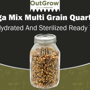 May include: A clear glass quart jar filled with a mix of grains, labeled "Mega Mix Multi Grain Quart Jar". The jar is ready to use and fully hydrated and sterilized. The jar has a silver lid.