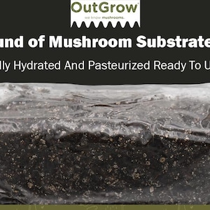 May include: One pound bag of mushroom substrate casing, fully hydrated and pasteurized, ready to use. The casing is a dark brown color and has a slightly grainy texture.