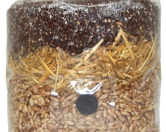 All in One Mushroom Grow Bag (Manure Based)
