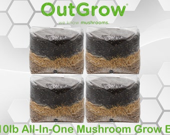 All-In-One Mushroom Grow Bag (4 X 10lbs Bags)