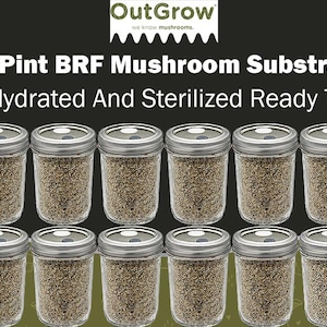 BRF Jars Brown Rice Flour Mushroom Substrate (12 Pack)