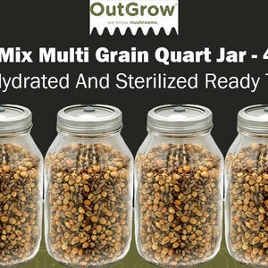 May include: Four glass jars filled with a mix of grains, labeled "Mega Mix Multi Grain Quart Jar - 4 Pack Fully Hydrated And Sterilized Ready To Use".