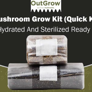 Mushroom Grow Kit (Quick Kit)