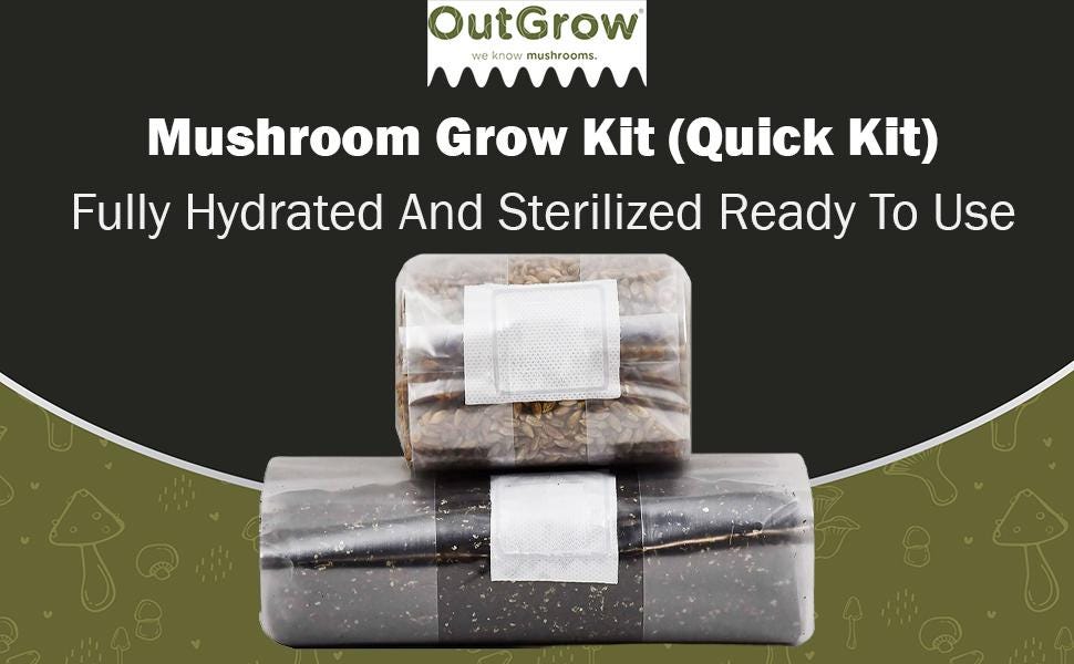 Mushroom Grow Kit (Quick Kit)
