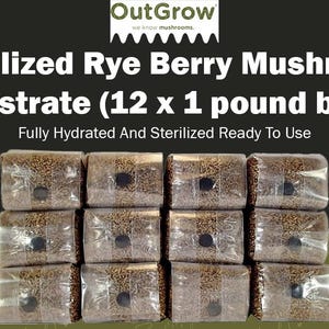 May include: Twelve 1-pound bags of sterilized rye berry mushroom substrate. The bags are fully hydrated and ready to use. The bags are stacked in four rows of three bags each. The bags are clear plastic and the substrate is a light brown color.