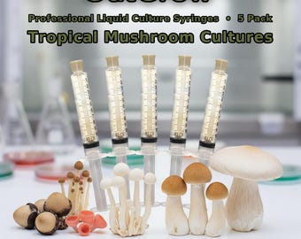 Tropical Mushroom Liquid Culture Syringes 5 Pack | Paddy Straw Milky Almond Macrocybe