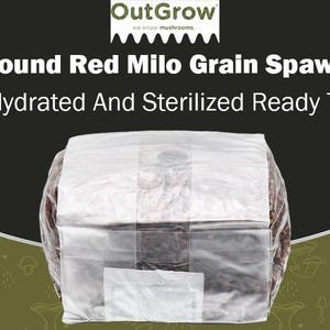 Sterilized Red Milo Grain Spawn - 1lb Bag