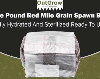 Sterilized Red Milo Grain Spawn - 1lb Bag