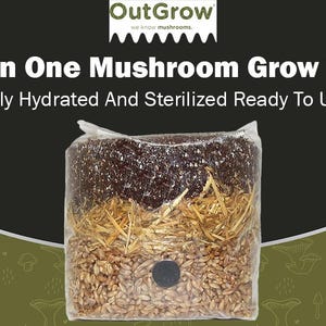 All In One Mushroom Grow Bag