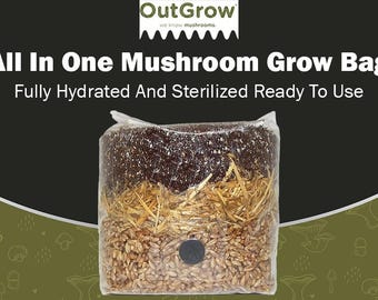 All In One Mushroom Grow Bag