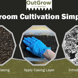 Puede incluir: Se muestran tres etapas del cultivo de champi&ntilde;ones: un primer plano de una capa de cobertura de color marr&oacute;n oscuro y negro, una mano enguantada aplicando la capa de cobertura y un primer plano de un cuerpo fruct&iacute;fero de champi&ntilde;&oacute;n blanco que crece en un sustrato marr&oacute;n oscuro y negro.