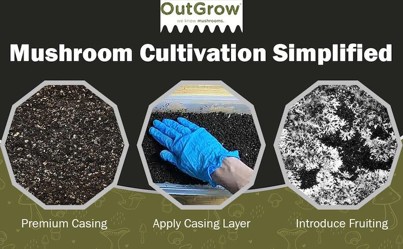 Puede incluir: Se muestran tres etapas del cultivo de champi&ntilde;ones: un primer plano de una capa de cobertura de color marr&oacute;n oscuro y negro, una mano enguantada aplicando la capa de cobertura y un primer plano de un cuerpo fruct&iacute;fero de champi&ntilde;&oacute;n blanco que crece en un sustrato marr&oacute;n oscuro y negro.