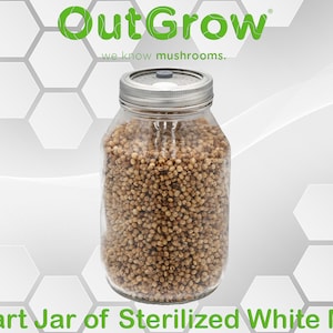 May include: A quart-sized glass jar filled with white milo grain. The jar has a silver lid with a small air filter. The jar is labeled "OutGrow - we know mushrooms."