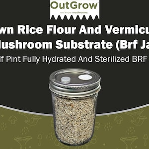 BRF Jars – Sterilized Brown Rice Flour Mushroom Substrate