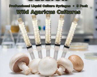 Wild Agaricus Liquid Culture Syringes 5 Pack | Horse Prince Sidewalk Mushroom Species