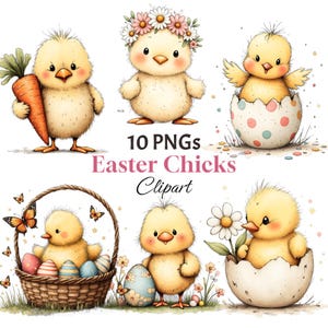 Op de afbeelding: Waterverfillustratie van paaskuikens. De afbeelding toont verschillende schattige gele kuikens met Pasen-thema-elementen, waaronder eieren, bloemen en een wortel. Tekst luidt "10 PNGs Easter Chicks Clipart."