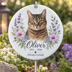 Puede incluir: Una placa conmemorativa redonda de piedra con el retrato de un gato atigrado marrón con un collar morado. El gato está enmarcado por lavanda morada y flores cosmos rosas. El texto dice: Oliver, 2011-2026, una huella y Always Loved.
