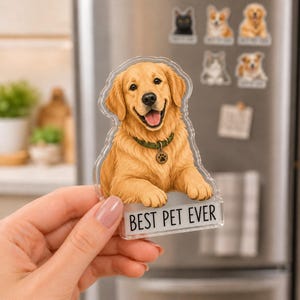 Pode incluir: Um íman de acrílico transparente com um golden retriever com uma coleira verde e uma medalha em forma de pata. O cão é representado com a boca aberta e uma expressão alegre. Abaixo, o texto BEST PET EVER está impresso em letras pretas.