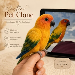 Puede incluir: Escultura 3D artesanal de un loro con lana naranja, amarilla, verde y azul vibrante. La escultura está posada en un dedo. La imagen incluye el texto "Custom Pet Clone" y "Made to cherish forever."