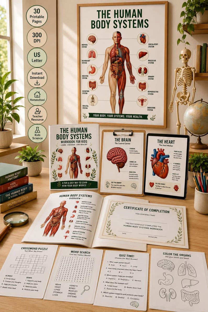 Human Body Systems Workbook Printable PDF | Human Anatomy Poster | Science Homeschool Activities | 30 Pages — original Etsy mockup 4
