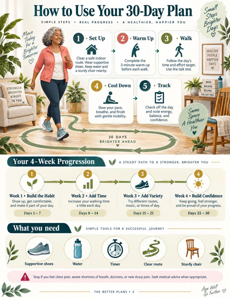 30 Day Indoor Walking Challenge for Seniors, Low Impact Exercise Plan, Balance and Mobility Printable, Senior Fitness PDF — original Etsy mockup 7