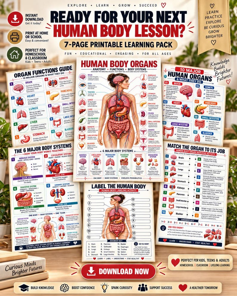 Human Body Anatomy Poster Printable, Organs, Functions, Systems (Digital Download) — original Etsy mockup 6