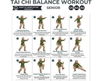 Tai Chi Balance Exercise Chart for Seniors | 16 step brief guideline (digital download pdf )