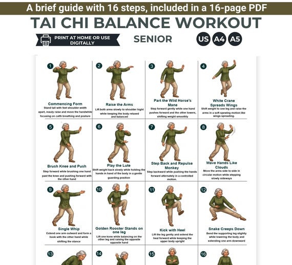 Tai Chi Balance Exercise Chart for Seniors | 16 step brief guideline (digital download pdf )