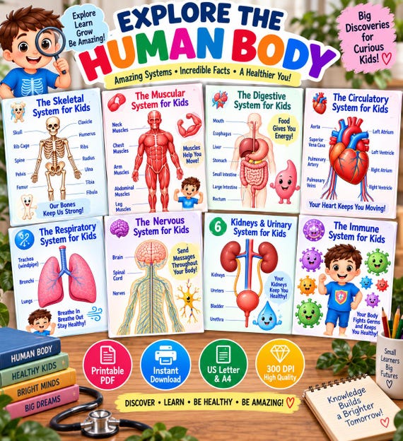 Kids Human Body Anatomy Bundle, 15-Poster, Science Classroom Decor (Digital Download)