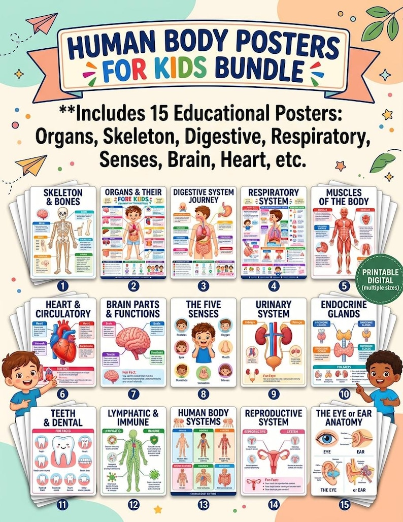 15-Poster Kids Human Body Bundle, Anatomy Systems, Science Classroom Decor (Digital Download) — original Etsy mockup 7
