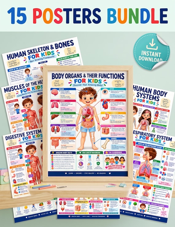 15-Poster Kids Human Body Bundle, Anatomy Systems, Science Classroom Decor (Digital Download)