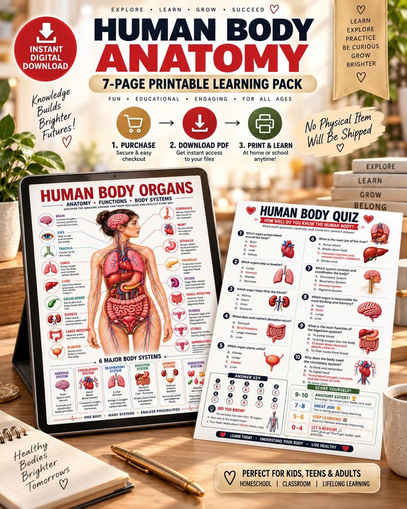 Human Body Anatomy Poster Printable, Organs, Functions, Systems (Digital Download) — original Etsy mockup 8