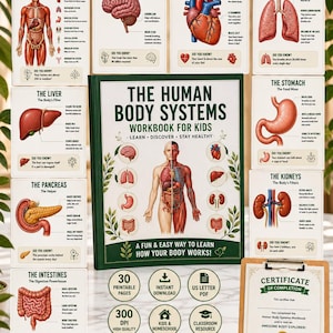 Puede incluir: Un libro de ejercicios titulado The Human Body Systems Workbook for Kids con una ilustración anatómica central, rodeado de ocho tarjetas educativas que detallan órganos como el cerebro, corazón, pulmones, estómago, hígado, páncreas e intestinos, además de un certificado.