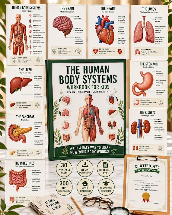 Human Body Systems Workbook for Kids | Anatomy Educational Guide (Digital Download)