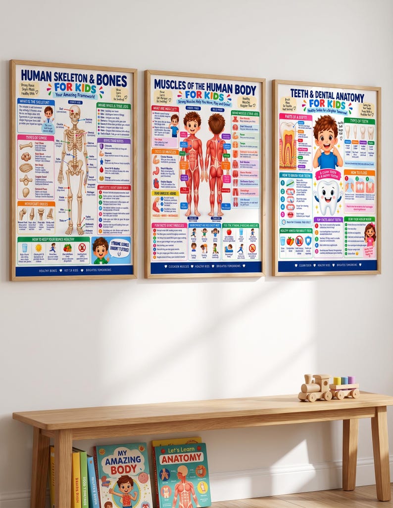 15-Poster Kids Human Body Bundle, Anatomy Systems, Science Classroom Decor (Digital Download) — original Etsy mockup 11