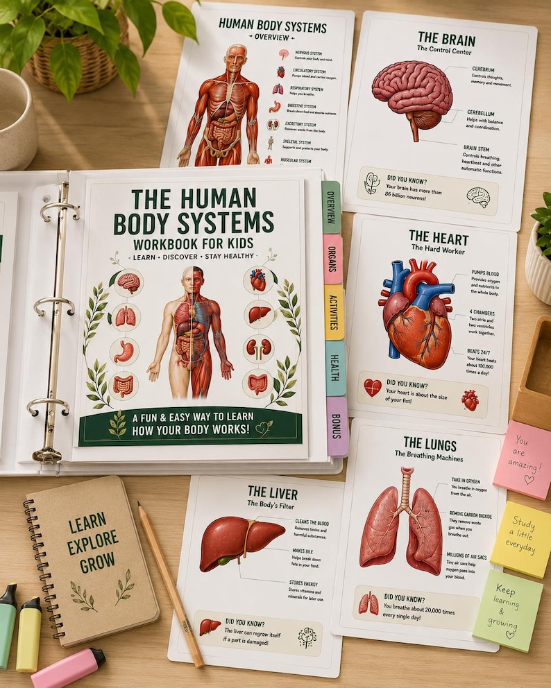 Human Body Systems Workbook Printable PDF | Human Anatomy Poster | Science Homeschool Activities | 30 Pages — original Etsy mockup 12